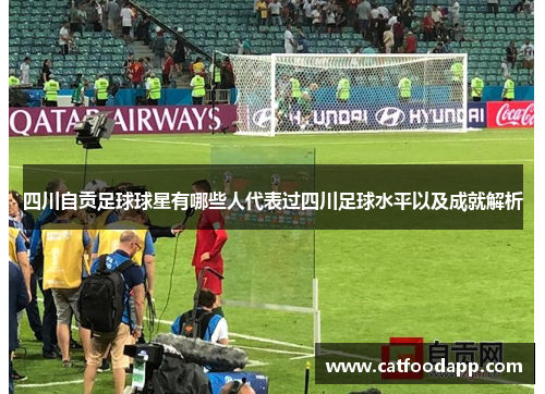 四川自贡足球球星有哪些人代表过四川足球水平以及成就解析