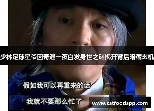 少林足球星爷因奇遇一夜白发身世之谜揭开背后暗藏玄机