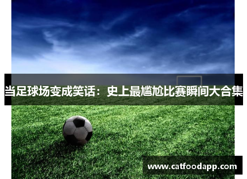 当足球场变成笑话：史上最尴尬比赛瞬间大合集