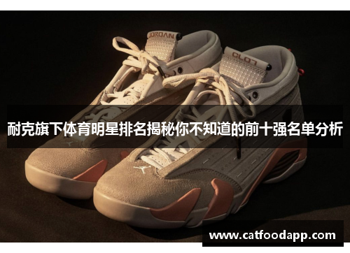 耐克旗下体育明星排名揭秘你不知道的前十强名单分析