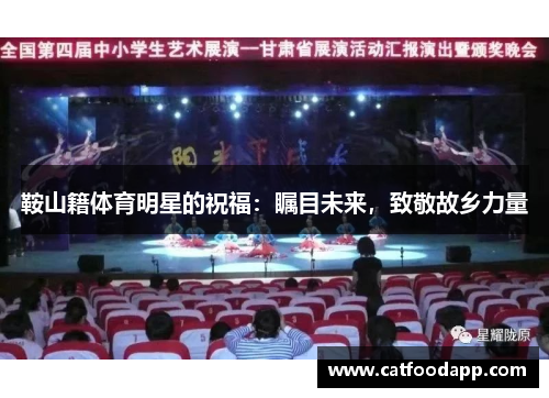 鞍山籍体育明星的祝福：瞩目未来，致敬故乡力量