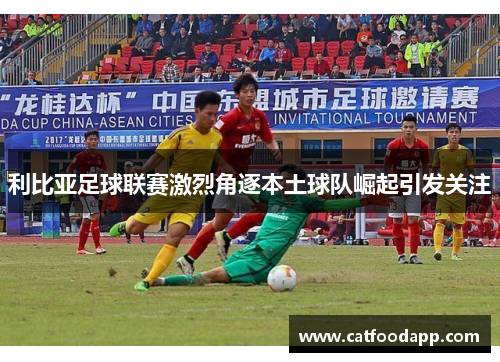 利比亚足球联赛激烈角逐本土球队崛起引发关注