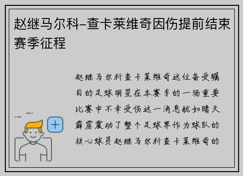 赵继马尔科-查卡莱维奇因伤提前结束赛季征程